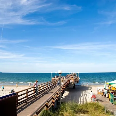 Stranddistel 2 7 Strandnah Apartamento *